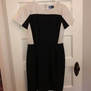 Tahari knee length dress