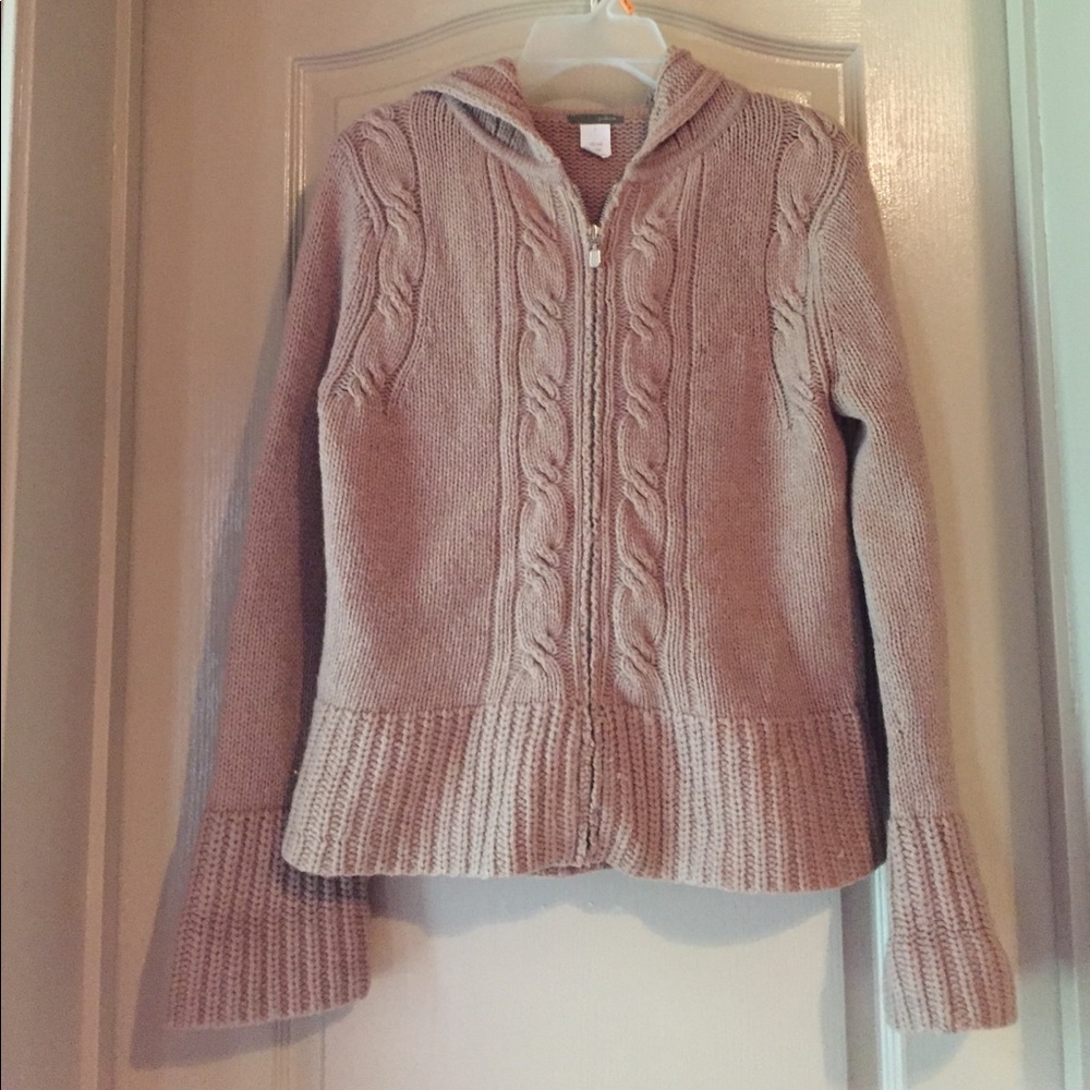 J.Crew Wool Hoodie Sweater