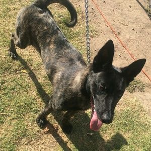 Meet your Posher, Rossi