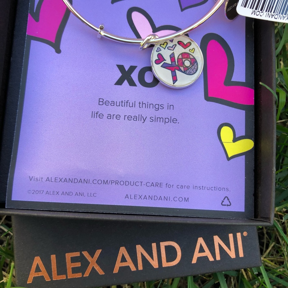 Alex and Ani Xo Art Infused Charm