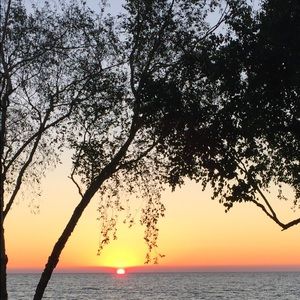 Meet your Posher, Doreen