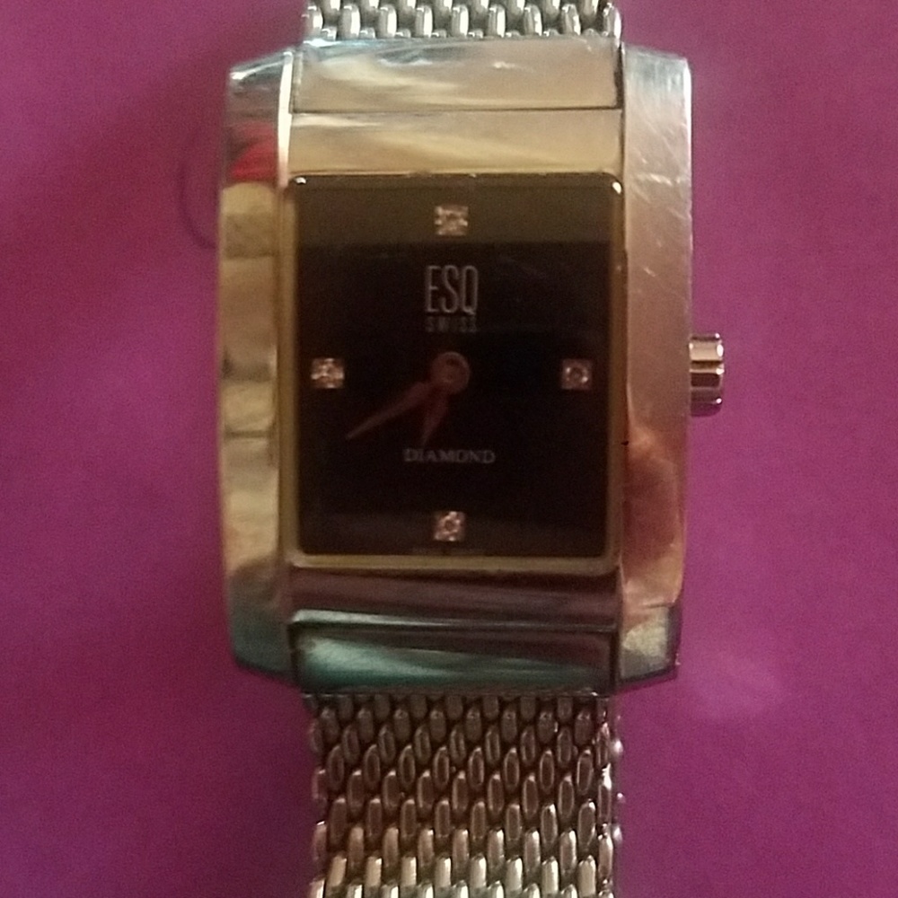 Esq swiss watch