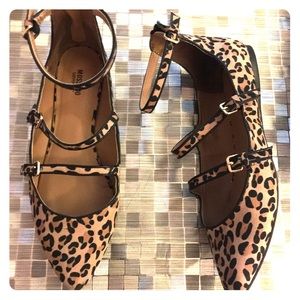 Pointy/strappy, leopard flats