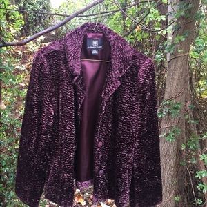 Alpine studio jacket