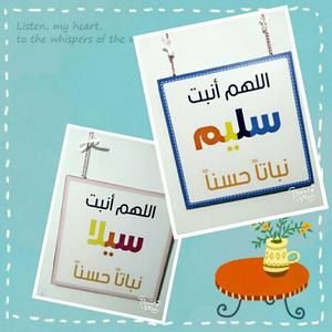 Meet your Posher, Ali