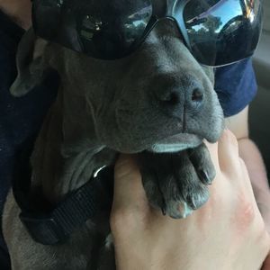 Meet your Posher, Milca