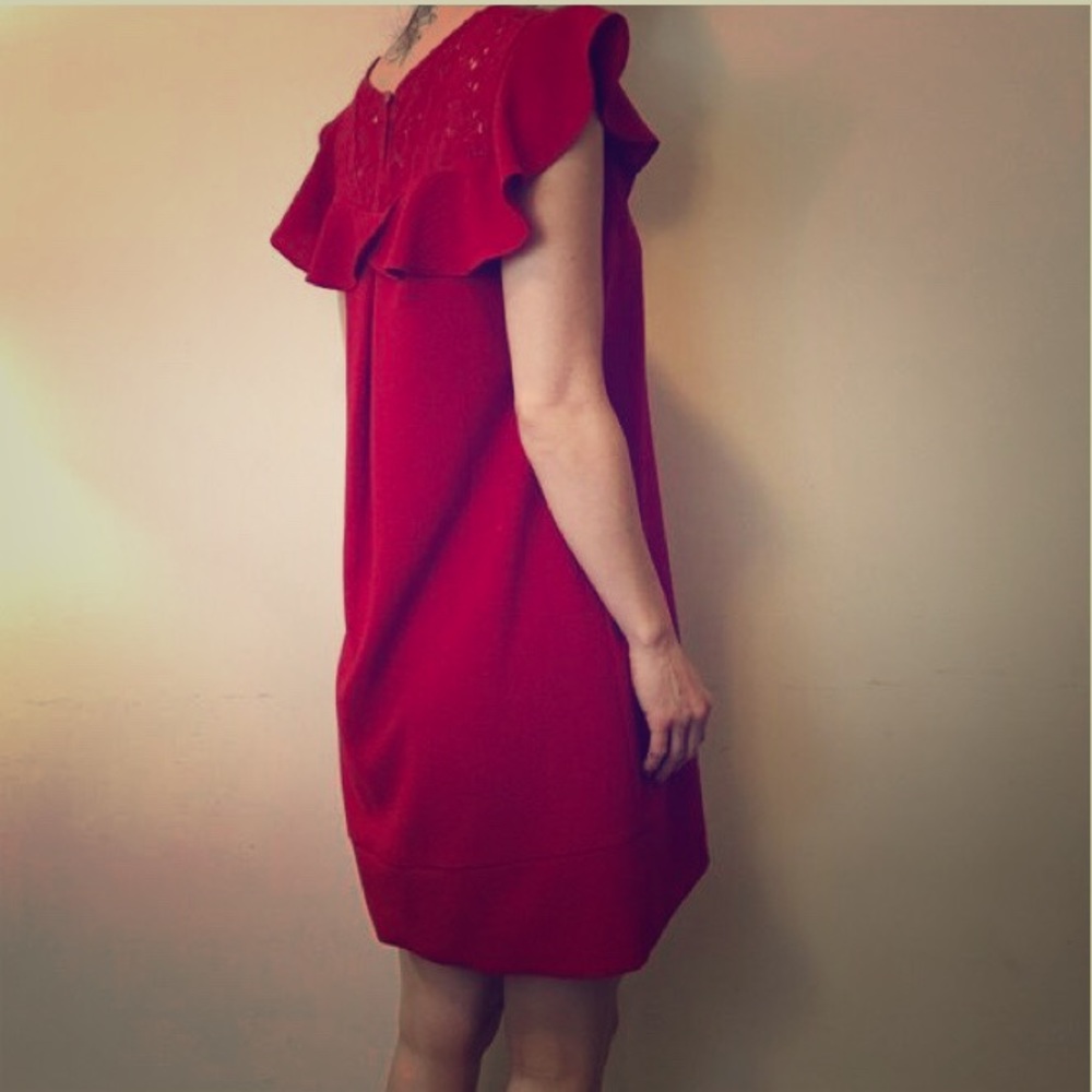 Anthropologie - HD in Paris Ruffle Dress - size 0