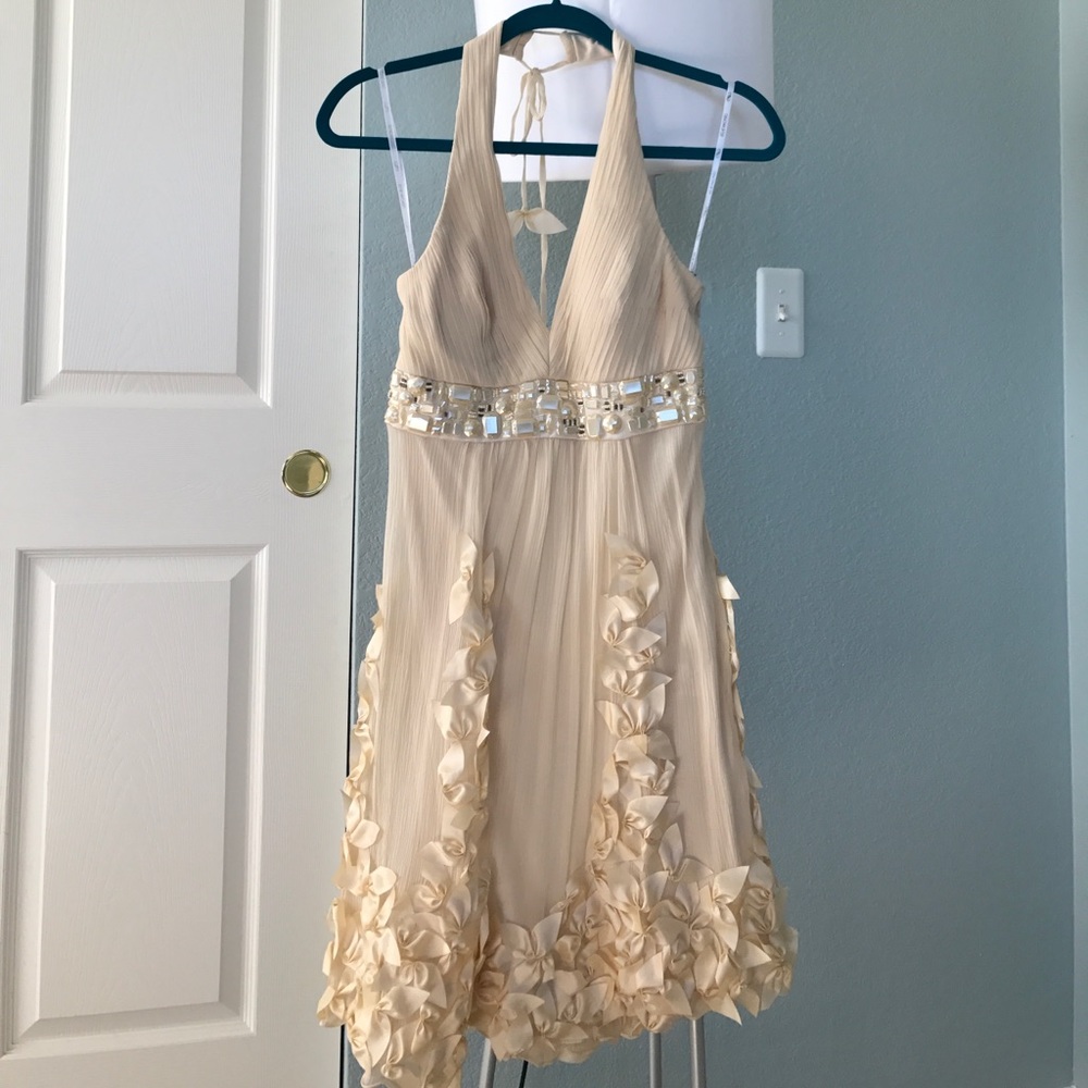 Sue Wong beaded petal champagne silk dress