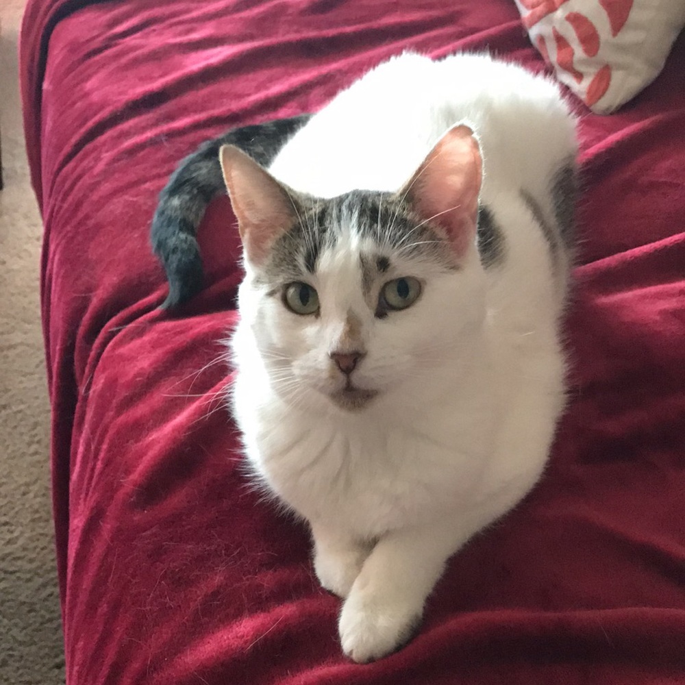 Meet your Posher, Helen