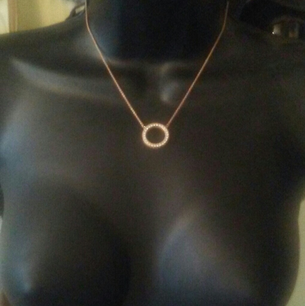 Pandora necklace