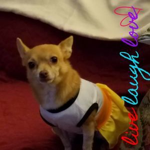 Meet your Posher, Debbie