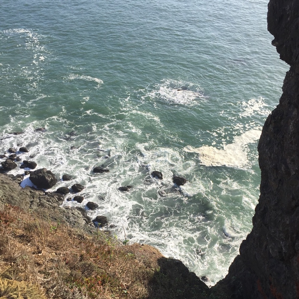 Meet your Posher, Phoebe