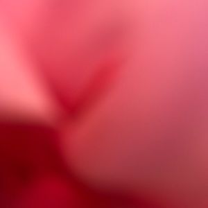 Meet your Posher, Hazel