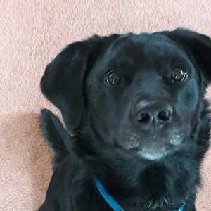 Meet your Posher, Matt