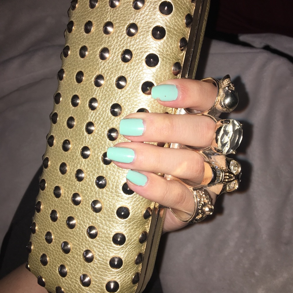 Adorable NWOT clutch!