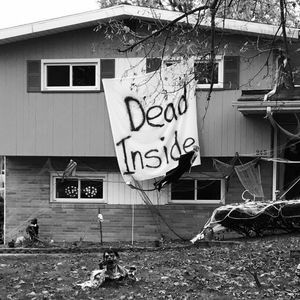 Meet your Posher, Sammy