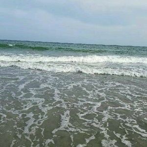 Meet your Posher, Desiree