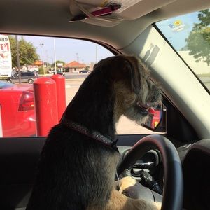 Meet your Posher, Barb