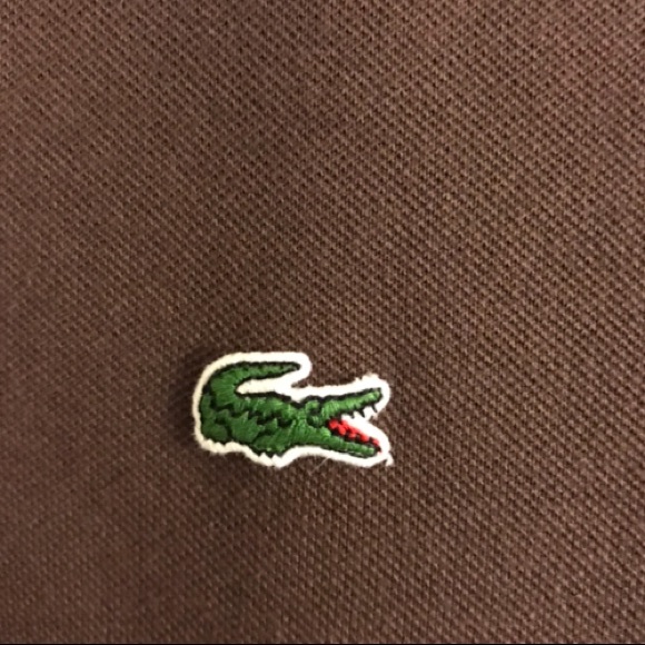 Locaste Polo - Picture 3 of 5