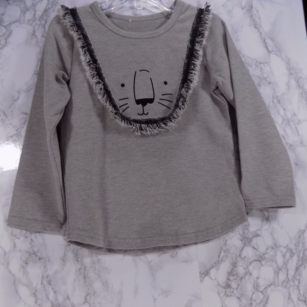 Gray "LIon" Long Sleeve Tee.  Kids.   :)