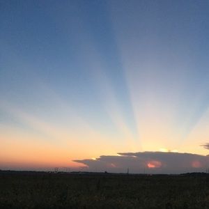 Meet your Posher, Delaney