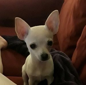 Meet your Posher, Aracelis