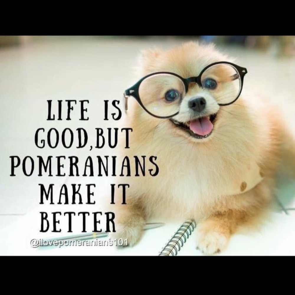 Welcome to my closet