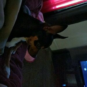 Meet your Posher, Heather