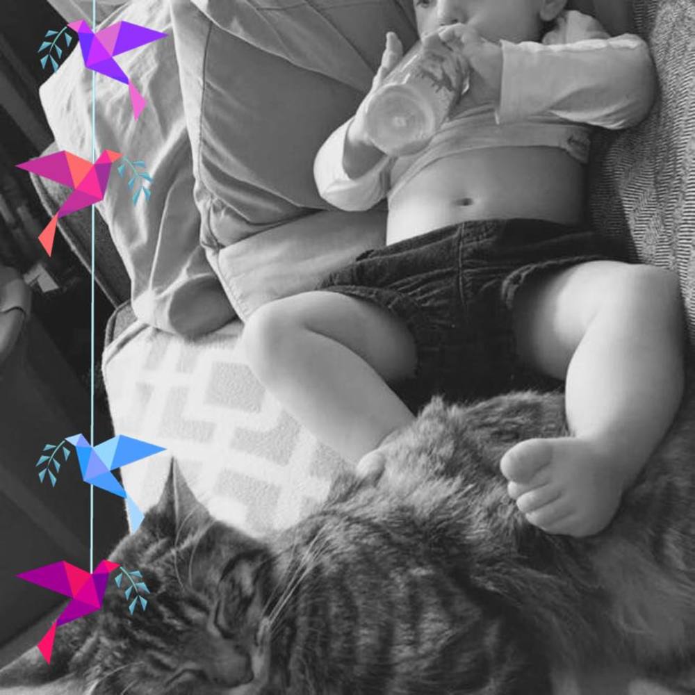 Meet your Posher, Amanda