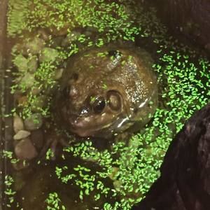 Meet your Posher, Scott