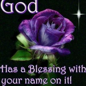 Meet your Posher, Yolanda