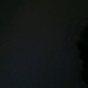 Meet your Posher, Ginger