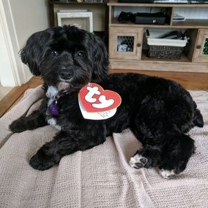 Meet your Posher, Kari