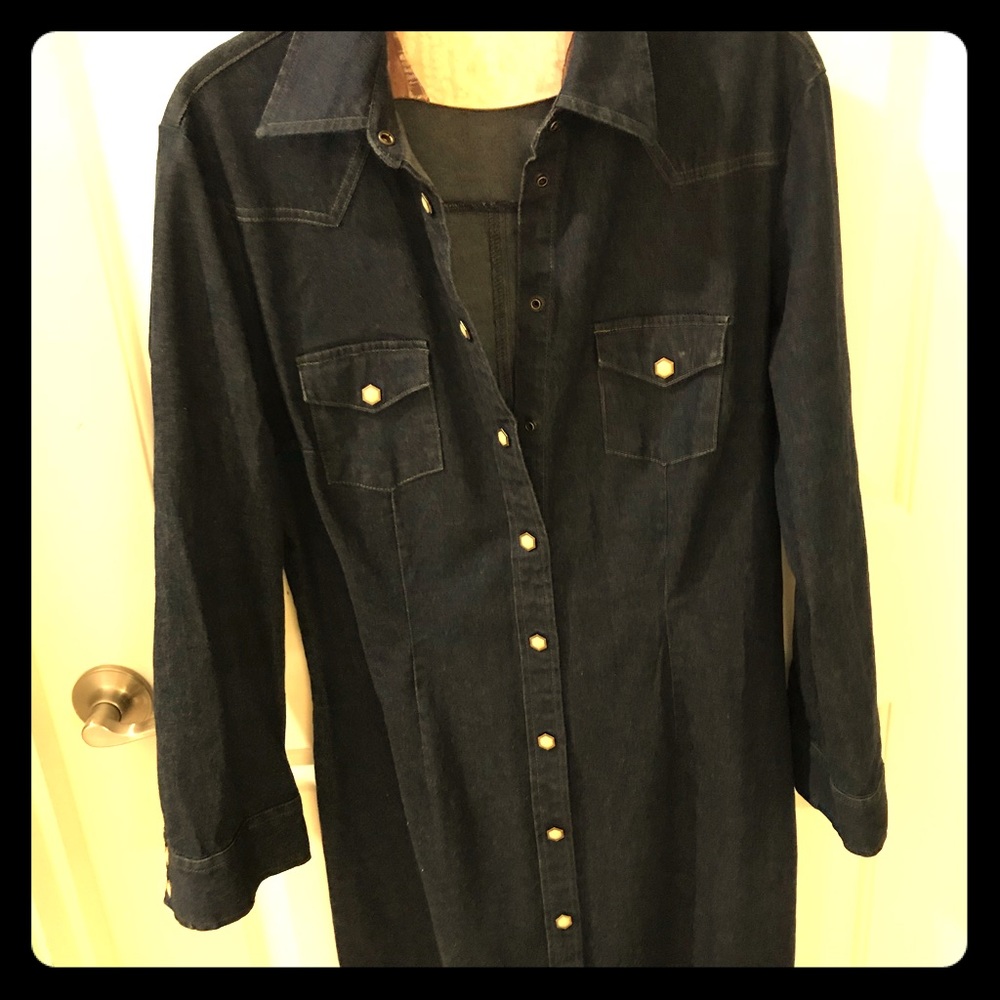 VINTAGE Levi’s Denim dress/tailored to fit