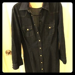 VINTAGE Levi’s Denim dress/tailored to fit