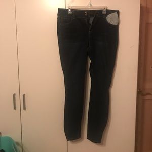 Plus Size Skinny Jeans