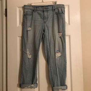 Ann Taylor Loft jeans