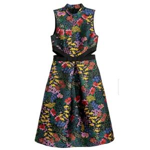 Erdem x H&M Floral Dress