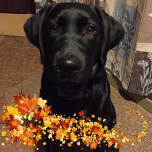 Meet your Posher, Shelly