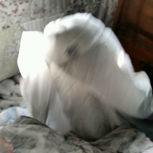 Meet your Posher, Donna