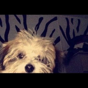 Meet your Posher, Emely