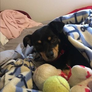 Meet your Posher, Carrie