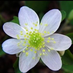 Meet your Posher, Brenna