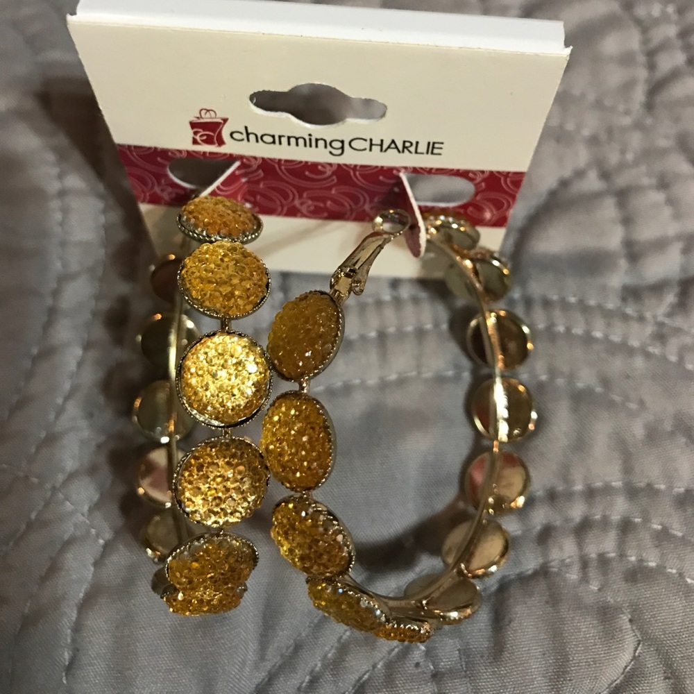 Shiny Sparkling Gold Hoops.