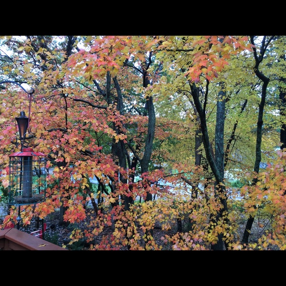 Meet your Posher, Leta - Picture 5 of 8