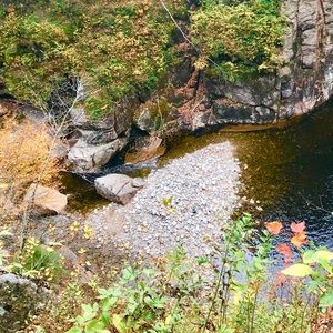 Meet your Posher, Nora