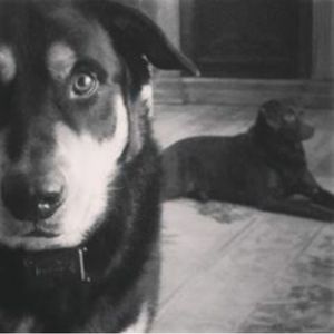 Meet your Posher, Tara