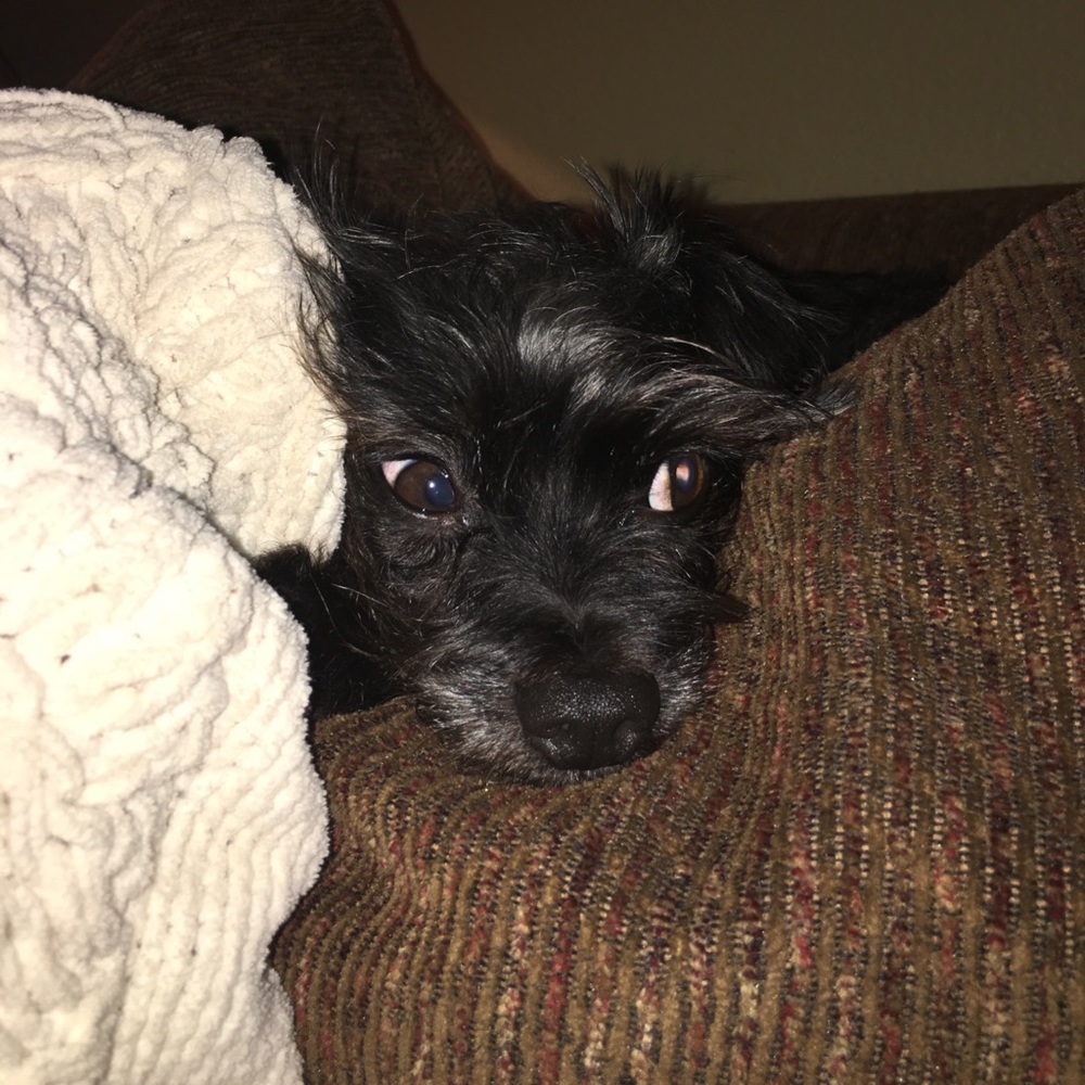 Meet your Posher, Leah