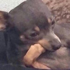 Meet your Posher, Miracle