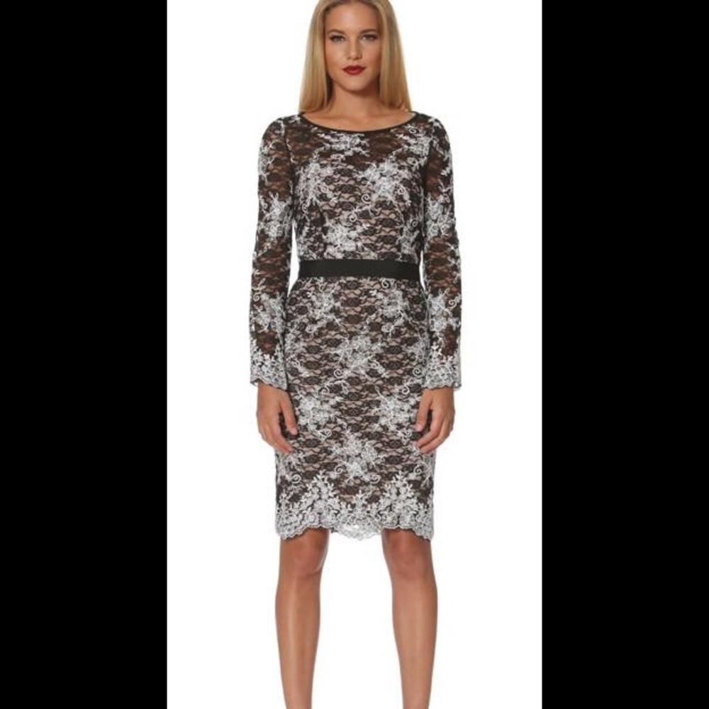 Nue By Shani Embroidered Lace Dress